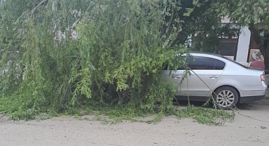 “Iğdır’da Ani Fırtına Maddi Hasara Yol Açtı”