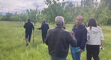 Iğdır’da Kayısı Bahçelerine Yakın Takip: Uzmanlardan Hastalık ve Zararlı Sürveyi