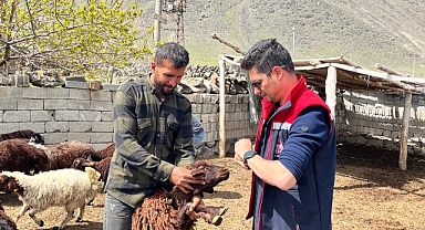 Iğdır’da Küçükbaş Hayvancılığa Sahada Güçlü Destek