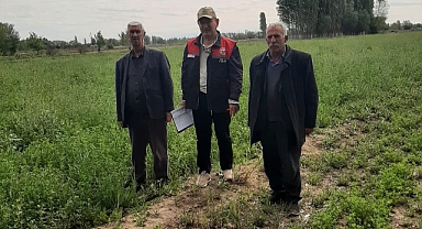 Iğdır’da Yem Bitkileri Kontrolleri Devam Ediyor