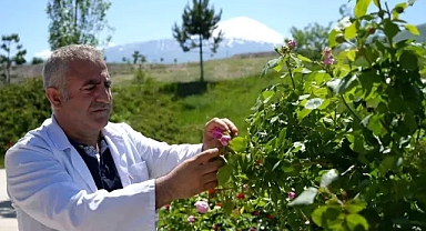 Iğdır Üniversitesi’nden Gül Kokulu Atılım: Kozmetikte Yerli ve Katma Değerli Üretim