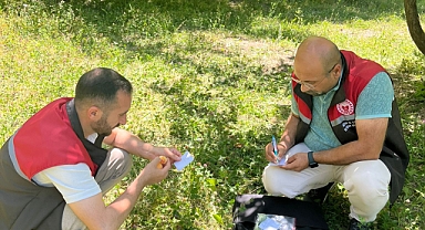 Iğdır’da Meyve Bahçelerinde Şarka Virüsü Taraması Yapıldı