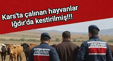 Kars’tan Çaldılar, Iğdır’da Kestirdiler: Hayvan Hırsızlığına 2 Tutuklama