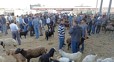 Kurban Bayramı Yaklaşırken Cüzdanlar Eriyor: Fiyatlar Uçtu, Vatandaş Dertli