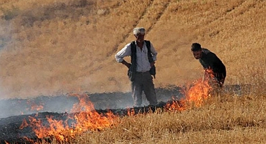 Anız Yakana Ceza Yağacak: Her Dekar İçin 556,71 TL Para Cezası!