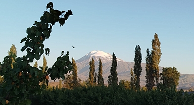 Huzurun Fotoğrafı: Asuman Taşbağ’dan Iğdır’ın Doğasına Mizahi Bir Bakış