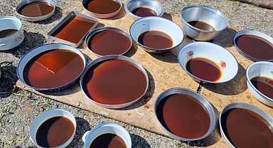 Iğdır’ın Dağ Köylerinde Kadınların İmece Geleneği: Dut Pekmeziyle Kültür ve Dayanışma Yaşıyor