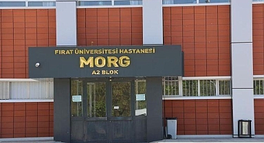 Uçurumdan düşen genç öldü