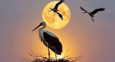 Asuman Taşbağ’dan Iğdır’a Sanat Tadında Bir Kare