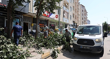 Iğdır’da Ağaçlar Hem Güvenli Hem Estetik Hale Getiriliyor