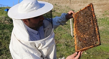 Iğdır’da Arıcılara Büyük Destek: “Arılar Olsun, Yarınlar Balla Dolsun” Projesi Başlıyor
