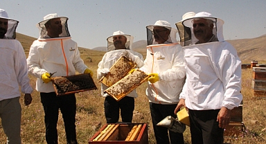 Iğdır’da Yayla Balı Hasadı Başladı: Vali Turan Sezonu Harmandöven'de Açtı