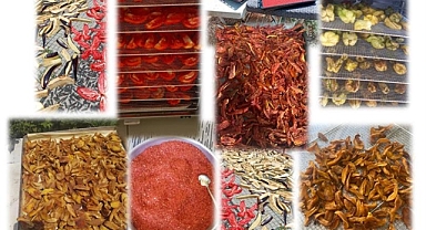 Kadın Üreticiler Tarladan Sofraya Değer Katıyor