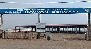 Bakan Yumaklı: Şap Hastalığı Nedeniyle Kapatılan Hayvan Pazarları Yeniden Açılıyor