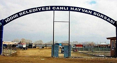 Ekonomiye Darbe Vuran Hastalık: Iğdır Hayvan Pazarı Kapandı