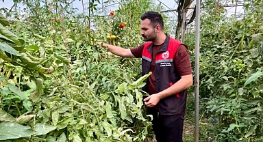 Iğdır’da Seralar Kayıt Altına Alınıyor