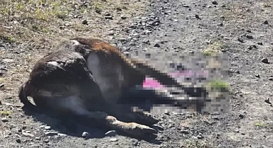 Sahtekar Müteahhit Krizi Iğdır’a da Ders Olmalı