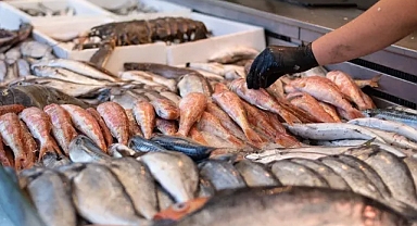 Sonbaharla Birlikte Balık Sezonu Hareketlendi