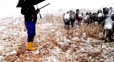 yaylacıların zorlukları başladı