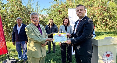Ahmet Tingiş’in Çabalarıyla Tuzluca’da 152 Ton Organik Elma Üretildi