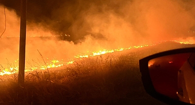 Iğdır’da Doğa Katliamı!
