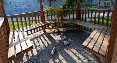 Iğdır’da Kamelyalara Zarar! Parklar Duyarsızlığın Kurbanı Oldu