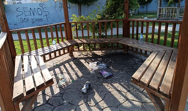 Iğdır’da Kamelyalara Zarar! Parklar Duyarsızlığın Kurbanı Oldu