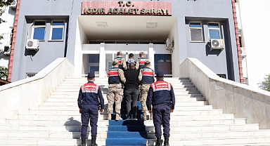 Iğdır’da Köpek Dövüşüne Baskın: 14 Şüpheli Suçüstü Yakalandı
