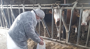Iğdır’da Yem Denetimleri Sıklaştı