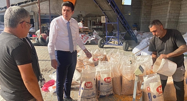 Kaymakam Fatih Erdoğan, Karakoyunlu’da Dane Mısır Alımı Yapan İşletmeleri Ziyaret Etti