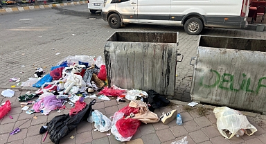 Bu Vatandaşlık Değil, Vicdansızlık !