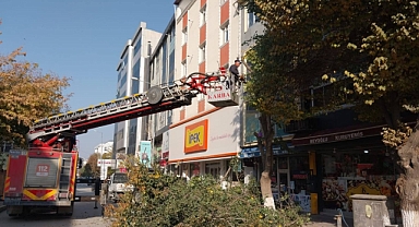Iğdır’da Ağaçlara Estetik Dokunuş: Belediyeden Düzenli Budama Hamlesi