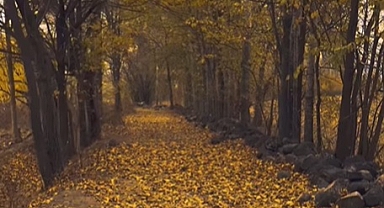 Karakoyunlu’nun Saklı Cenneti: Amatör Fotoğrafçı Asuman Taşbağ Sonbaharın Renklerini Büyüledi
