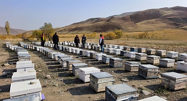 Tuzluca’da Arıcılara %50 Hibe Desteğiyle Makine ve Ekipman Kontrolü Yapıldı