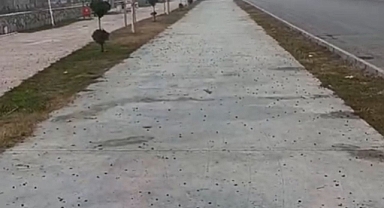 Iğdır’da Yeni Yapılan Yürüyüş Yolu Hayvan Dışkılarıyla Kullanılamaz Hâle Geldi: “Burası Yürüyüş Yolu, Hayvan Yolu Değil!”