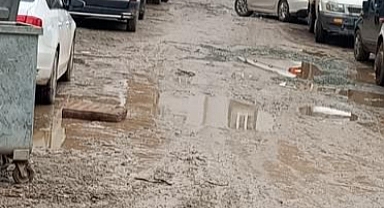 Iğdır’ın Merkezinde Utandıran Manzara