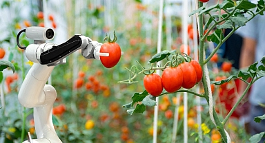 Hibe Oranları Yükseldi, Teknoloji Ön Plana Çıktı