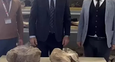 Iğdır Tuzluca’da Tarihi Keşif: Dev Gergedan Fosili Gün Yüzüne Çıktı