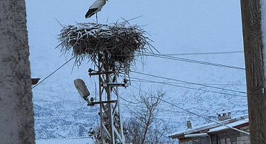 ️ Karın Altında Umut: Asuman Taşbağ’dan Yüreğe Dokunan Bir Kış Kadrajı
