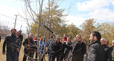 Iğdır’da Meyveciliğe Bilimsel Dokunuş: Budama ve Terbiye Kursu Başladı