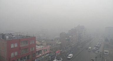 IĞDIR ZEHİR SOLUYOR!