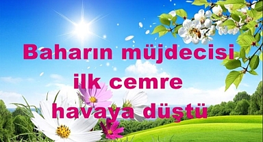 İlk Cemre Havaya Düştü, Doğa Uyanışa Geçti