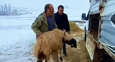 Kars Halkına Yakışan Dayanışma: Yarayı Birlikte Sardılar