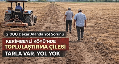 Toplulaştırma Yapıldı Denildi, Tarla Yolları Unutuldu vatandaş çözüm bekliyor
