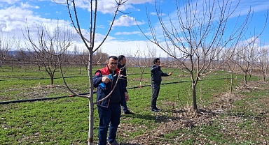 Iğdır’da Çiftçilere Uygulamalı Meyve Ağacı Budama Eğitimi