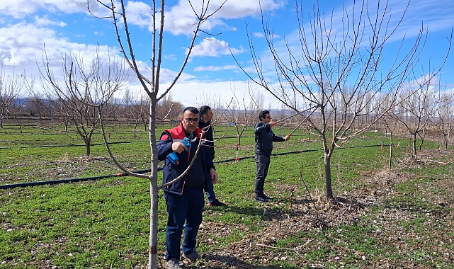 Iğdır’da Çiftçilere Uygulamalı Meyve Ağacı Budama Eğitimi