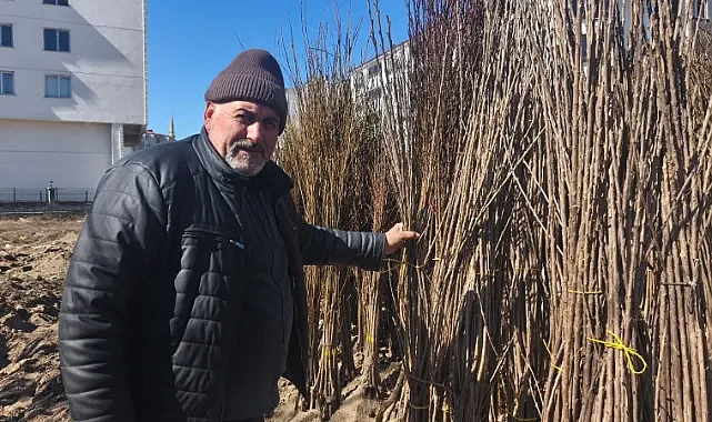 Iğdır’da Fidan Sezonu Açıldı: Meyve Fidanlarına Yoğun İlgi