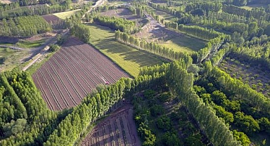 Iğdır Ovası’nda Tarım Hareketliliği: Çiftçi Tarlaya İndi