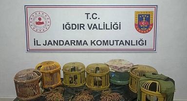Tuzluca’da Kaçak Av Operasyonu: 13 Yabani Keklik Kurtarıldı, 175 Bin TL Ceza