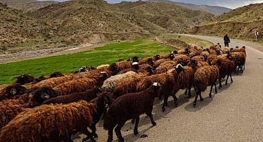 YILLARIN SORUNU ÇÖZÜLÜYOR: IĞDIR’DA ÜRETİCİYE YAYLA YOLU AÇILIYOR